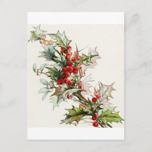 Carte Postale Holly Berries 004
