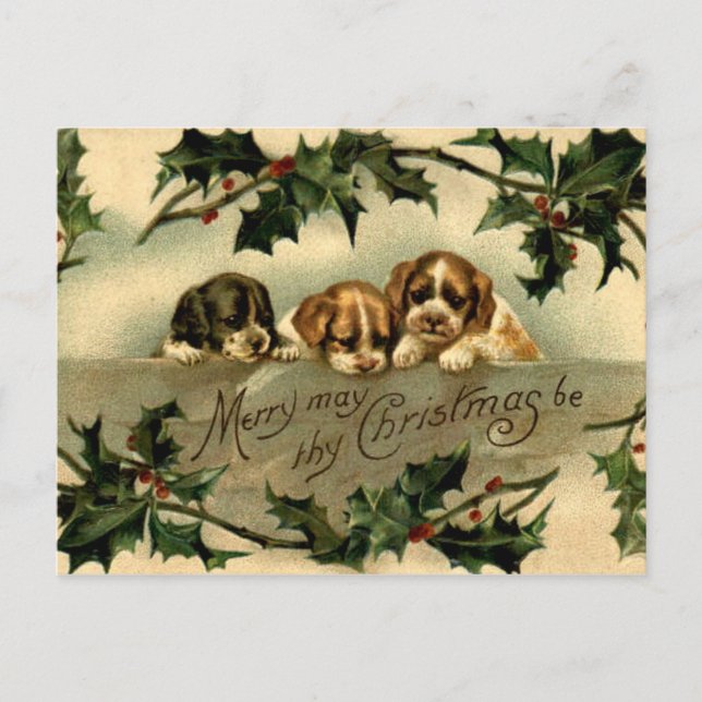Carte Postale Holly Puppies (Devant)
