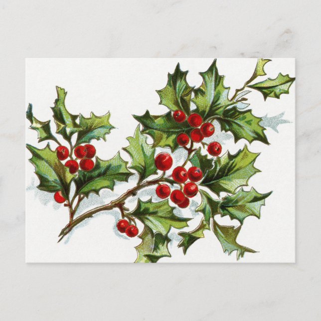 Carte Postale HollyBerries_001 (Devant)