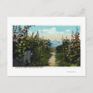 Carte Postale Hollyhock Lane Vue du port