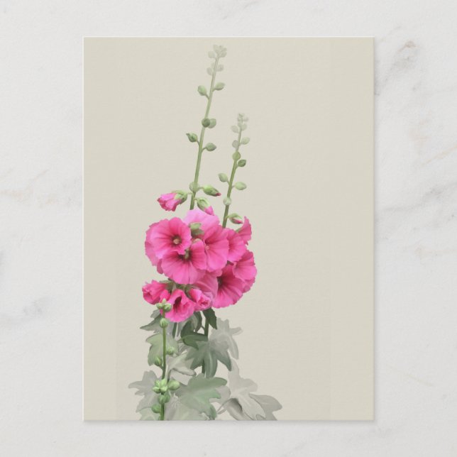 Carte Postale Hollyhocks (Devant)