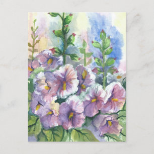 Carte postale Holyhocks