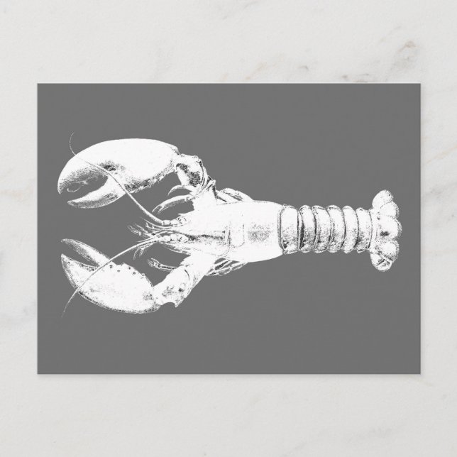Carte Postale Homard blanc sur gris / gris (Devant)