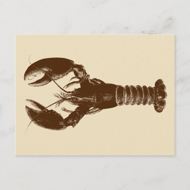 Carte Postale Homard Brown foncé sur beige clair (Devant)