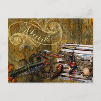 Carte Postale homard du Maine