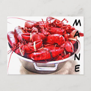 Carte Postale Homard du Maine