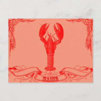 Carte Postale homard principal