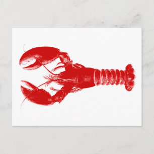 Carte Postale Homard rouge profond sur blanc