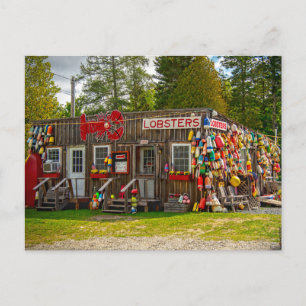 Carte Postale Homards du bar Harbour
