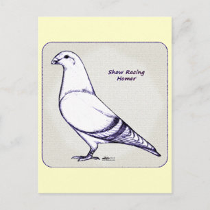 Carte Postale Homer Design