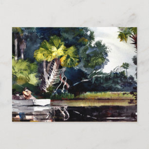 Carte Postale Homer - Homosassa Jungle