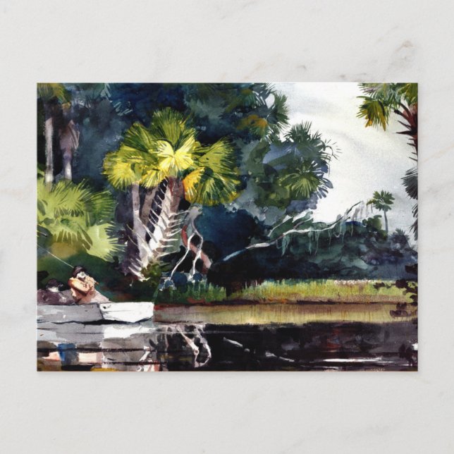 Carte Postale Homer - Homosassa Jungle (Devant)