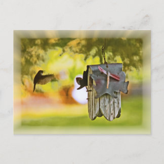 Carte Postale Homeward Bound