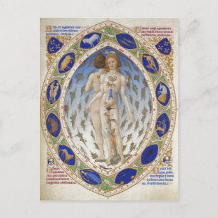 Carte Postale Homme anatomique, Les Tr? s Riches Heures du duc d