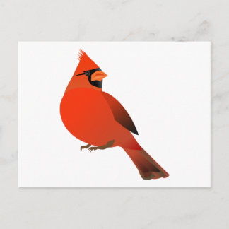 Carte Postale Homme Cardinal Bird