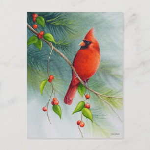 Carte Postale Homme Cardinal Nord Oiseau Aquarelle Art