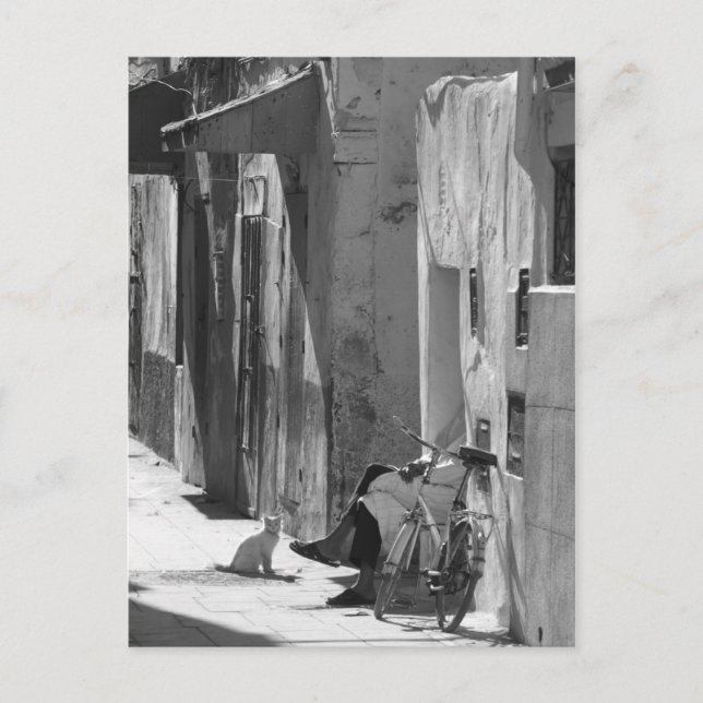 Carte Postale Homme et chat (Devant)