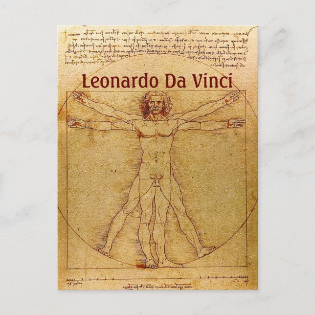 Carte Postale Homme Vitruvien Par Leonardo Da Vinci (Devant)