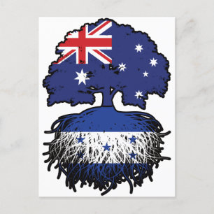 Carte Postale Honduras Australien Australie racine d'arbre