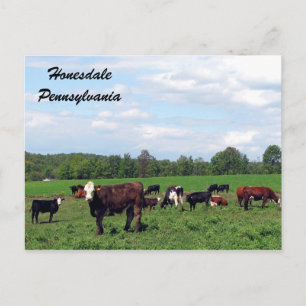 Carte postale Honesdale Pennsylvania