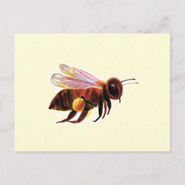 Carte Postale Honey Bee Flying (Devant)