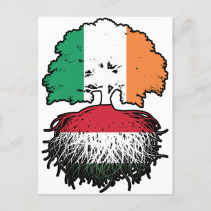 Carte Postale Hongrie Hongroise Irlande drapeau des racines de l
