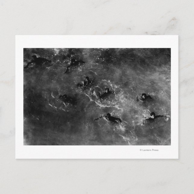 Carte Postale Honolulu, HA - Plongeurs Garçons Près Du Port Hono (Devant)