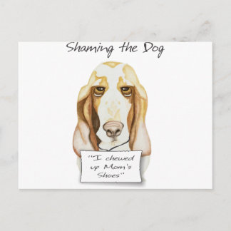 Carte Postale Honte au chien Basset Hound