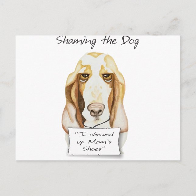 Carte Postale Honte au chien Basset Hound (Devant)