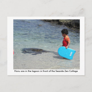 Carte Postale Honu in lagoon in front of Seaside Zen Cottage
