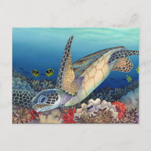 Carte Postale Honu (Tortue verte)