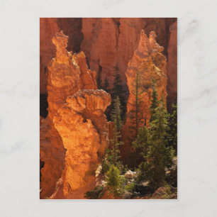 Carte Postale Hoodos Et Goblins