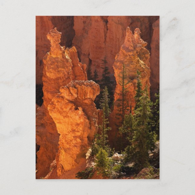 Carte Postale Hoodos Et Goblins (Devant)
