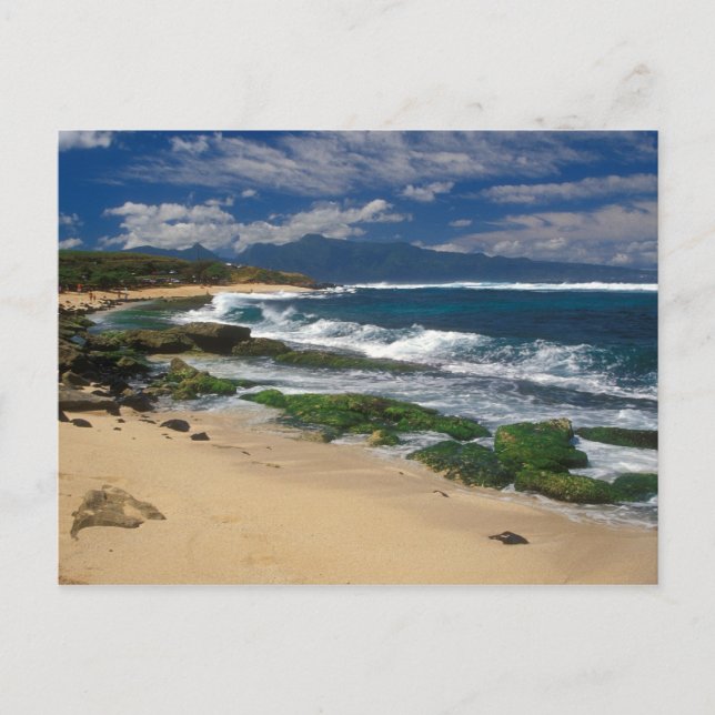 Carte Postale Hookipa Beach Maui Hawaii (Devant)