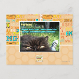 Carte Postale Hoomanz