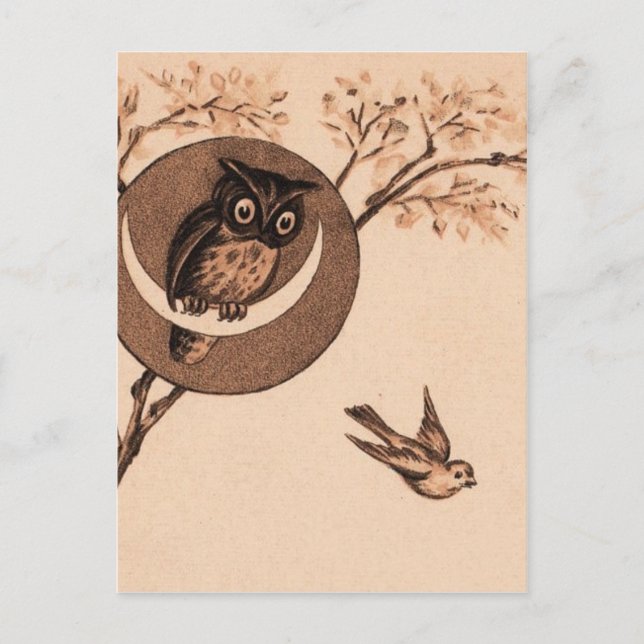 Carte Postale Hooooot ! (Devant)