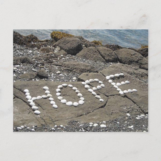 Carte Postale Hope Seashell Art (Devant)