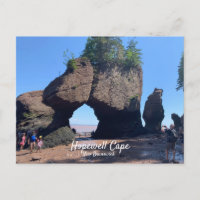 Carte postale Hopewell Cape Nouveau-Brunswick