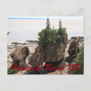 Carte Postale Hopewell rocks during low tide
