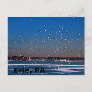 Carte Postale horizon d'Érié, Pennsylvanie