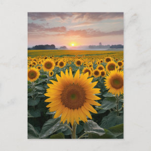 Carte Postale Horizon radiant : Les tournesols à l'aube