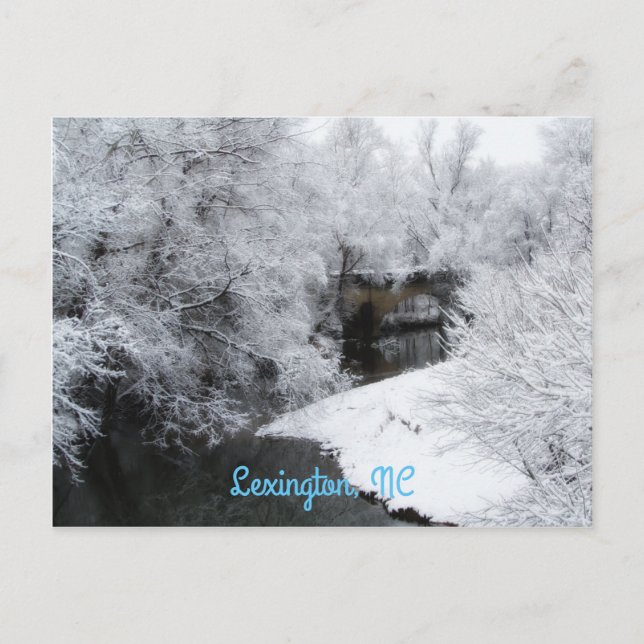 Carte postale horizontale Dreamy Snow (Devant)