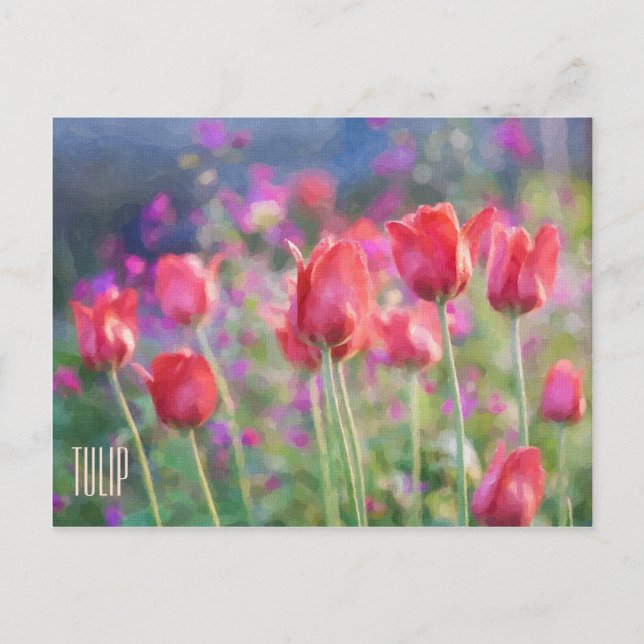 Carte postale horizontale Tulips (Devant)