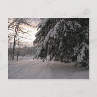 Carte Postale Horloges couvertes de neige
