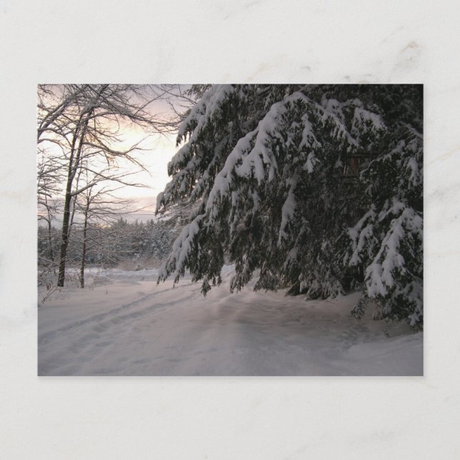 Carte Postale Horloges couvertes de neige (Devant)
