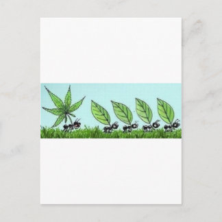 Carte Postale hormiga colocada