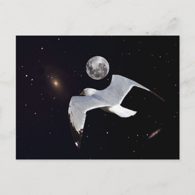 Carte postale Hors de ce monde (Devant)