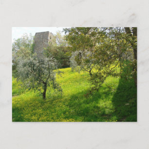Carte Postale Hors des murs de San Gimignano