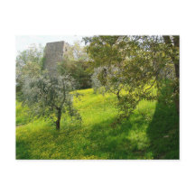 Hors des murs de San Gimignano