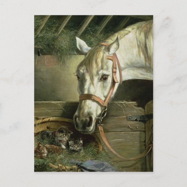 Carte Postale Horse and kittens, 1890 (Devant)